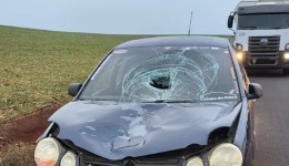 Presidente do Sindicato dos Trabalhadores Rurais morre após atropelamento