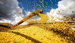 Brasil atinge novo recorde com 350 milhões de toneladas de grãos