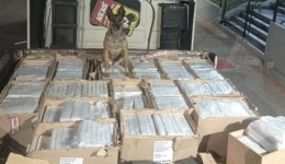 Polícia Rodoviária apreende 667 kg de maconha em caminhão na PRC-280, em Vitorino