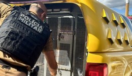 Suspeito de roubo a comércio é preso pela Polícia Militar em Mangueirinha
