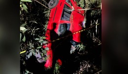 Menino de 7 anos morre após carro sair da pista e bater contra árvore na PR-493