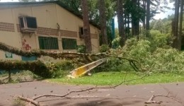 Parque de Exposições é fechado temporariamente após queda de árvores e postes