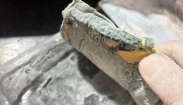 Vigilância Sanitária divulga balanço das fiscalizações realizadas em fevereiro