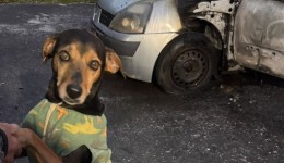Homem é suspeito de incendiar carro com cachorro dentro em Criciúma