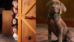 Netflix revela primeira imagem de Scooby-Doo em nova série live-action