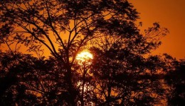 Semana deve ser de muito calor no Paraná com chuva no início do Carnaval