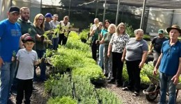 Projeto Plante e Colha Saúde inicia ações de 2026 com entrega de mudas
