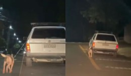 Motorista é preso após amarrar cachorro do lado de fora de carro e arrastá-lo por diversas ruas, no PR
