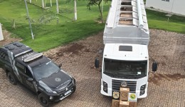 Caminhão com carga milionária de cigarros contrabandeados é apreendido após fuga de motorista