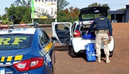 PRF apreende quase 94 kg de maconha e prende homem em Realeza (PR)