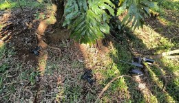 Polícia Militar recupera equipamentos furtados de arena de paintball e prende suspeito