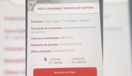 “Captura de lobisomem” em sexta-feira 13 viraliza em Santa Catarina; bombeiros esclarecem caso