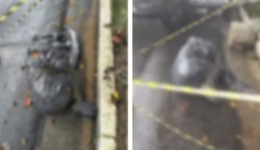 Polícia apura série de mortes suspeitas de execução em SP; corpos foram ensacados, decapitados ou queimados