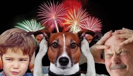 SC proíbe venda de fogos com estampido e dá 180 dias para comércio se adequar