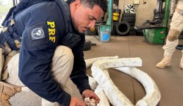 PRF apreende 3,2 mil ampolas de medicamentos para emagrecimento escondidas em pneus de carro no Paraná