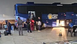 Castrapet Paraná realiza castrações de cães e gatos em Francisco Beltrão nesta quinta e sexta