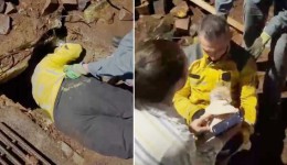 Bombeiros resgatam cão preso em tubulação em Santa Catarina