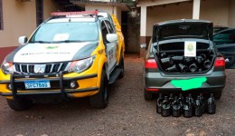 Veículo é apreendido com carga de azeite sem legalização na BR-280