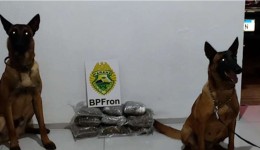 Mulher é presa com quase 5 kg de capulho em ônibus interestadual no Paraná