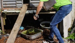 Infestação do Aedes Aygipti cai em Francisco Beltrão após quatro meses