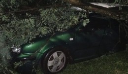 Carro de torcedor do Coronel Futsal é atingido por árvore durante jogo da Copa Tonhão