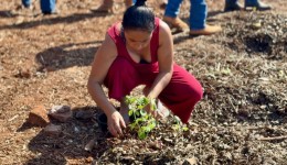Horta Comunitária Terra Nossa ganha novos canteiros e reúne moradores em oficina