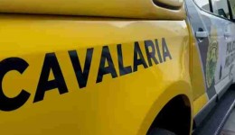 Idoso de 71 anos é preso após tentar sequestrar criança de 5 anos