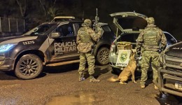 BPFRON prende homem e apreende mais de 232 quilos de maconha