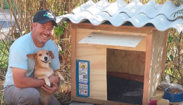 Caminhoneiro constrói mais de 1,7 mil casinhas para proteger cães e gatos abandonados