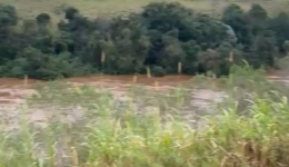 Corpo de mulher é encontrado boiando em rio no Meio-Oeste de Santa Catarina