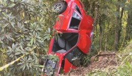 Menino de 7 anos morre após carro sair da pista na PR-493