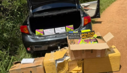 PF apreende 200 canetas emagrecedoras e 450 cigarros eletrônicos