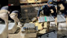 PRF apreende 2,6 toneladas de maconha escondidas em carga de madeira na BR-277