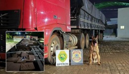 R$ 2,3 milhões em vinhos: operação policial apreende carga milionária na fronteira
