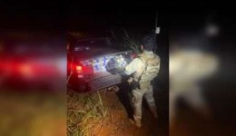Mais de 400 kg de maconha são apreendidos pela PF e PM