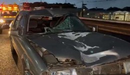 Caminhoneiro perde a vida após ser atropelado na BR-277