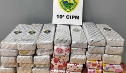 Polícia apreende 26 kg de maconha em mala com graxa em ônibus e prende suspeito