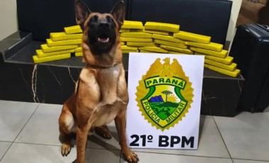 ROTAM apreende mais de 30 quilos de maconha e eletrônicos do Paraguai na Rodoviária