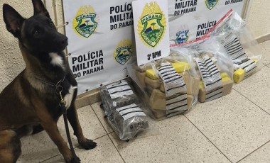 Polícia Militar apreende mais de 30 quilos de maconha