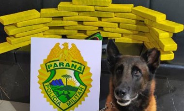 Mulher é presa com mais de 25 quilos de maconha em ônibus interestadual