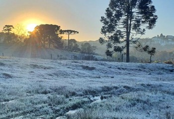Inverno brasileiro começa hoje e será mais frio que em 2024