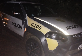 Quatro pés de maconha são apreendidos em área embargada