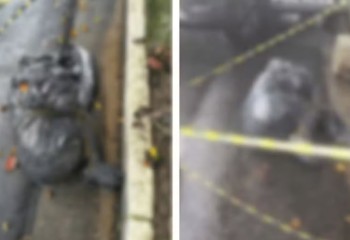 Polícia apura série de mortes suspeitas de execução em SP; corpos foram ensacados, decapitados ou queimados