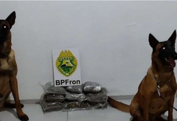 Mulher é presa com quase 5 kg de capulho em ônibus interestadual no Paraná