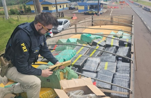 PRF apreende, no Paraná, a maior quantidade de maconha do ano em rodovias federais
