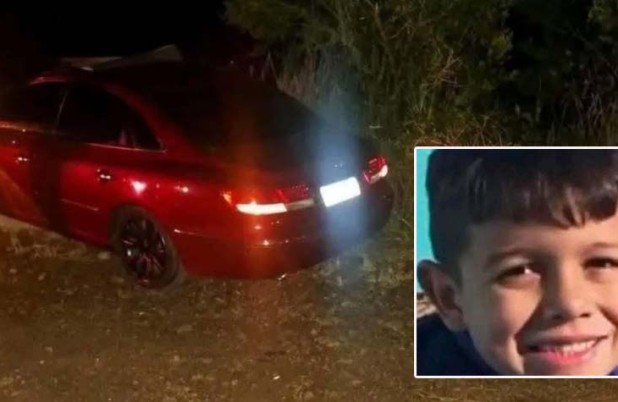 Menino de 10 anos morre após carro atingir cavalos na PR-456, no Paraná