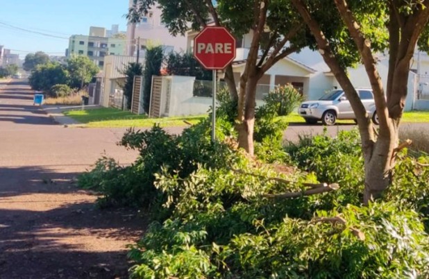 Poda de árvores e manutenção urbana somam 681 atendimentos no primeiro semestre
