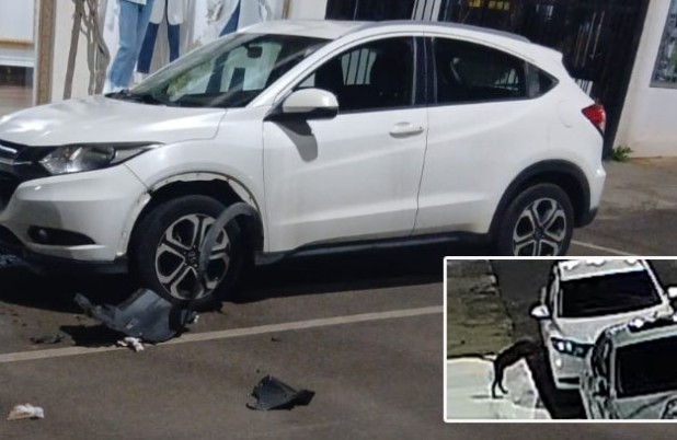 Cachorro é flagrado danificando veículo durante a madrugada