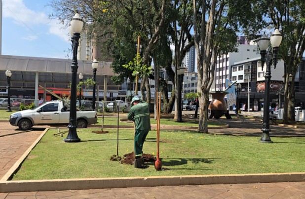 Dia da Árvore tem distribuição de mudas e ações ambientais