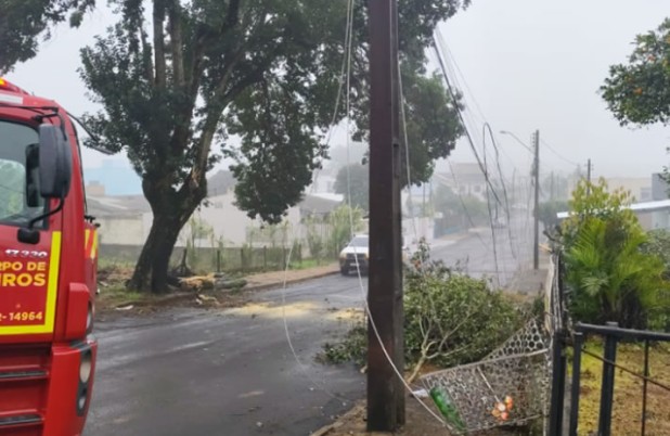 Queda de árvore afeta atendimento na Unidade de Saúde da Cango